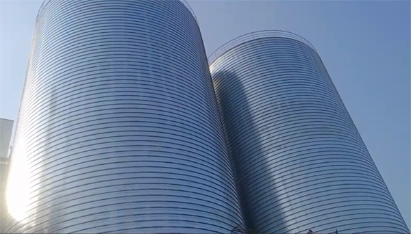 五营2座混凝土高架卷板仓